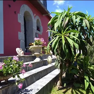 Les Hortensias Plouvien